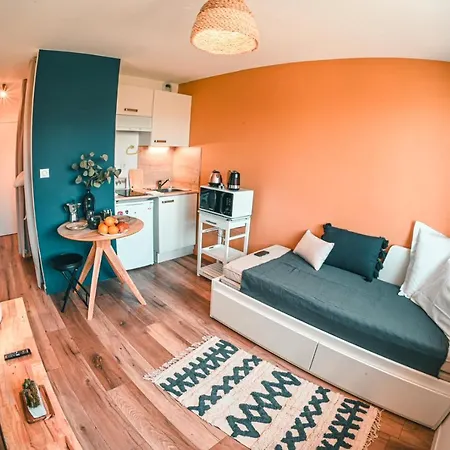Apartment Studio Falquet - Proche Vieille Annecy